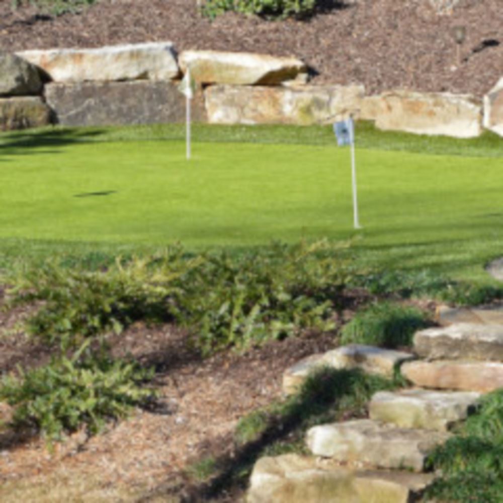 Top Trends For Vancouver Backyard Golf Putting Greens