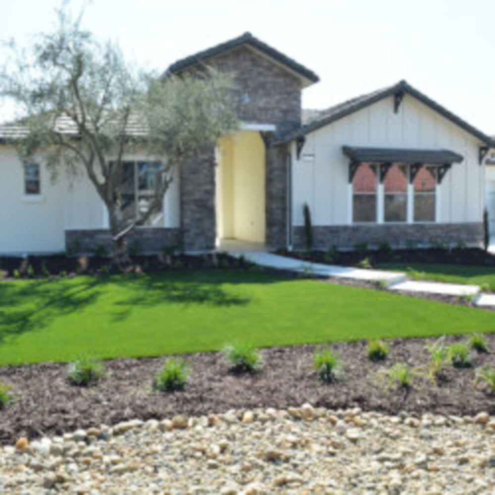 Artificial Lawn Maintenance Tips in Vancouver